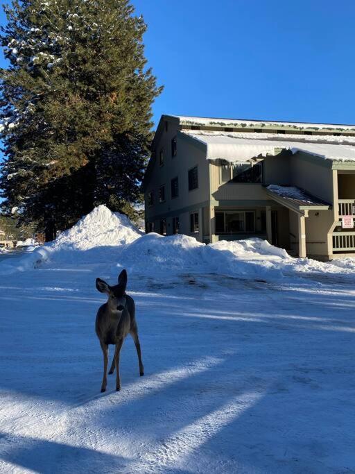Mccall Mountain Getaway - Pet Friendly Exterior photo